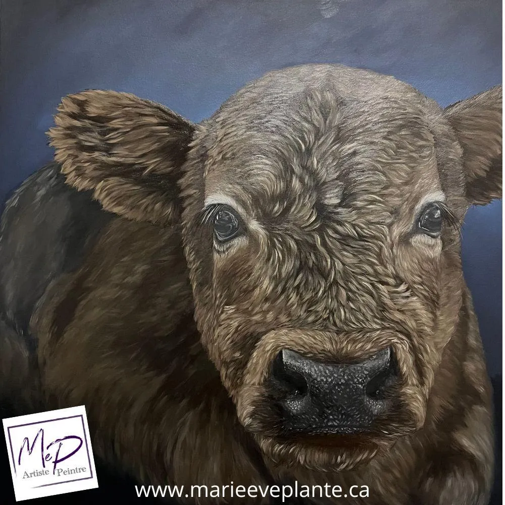 Petite COWquine — œuvre, huile sur toile de Marie-Eve Plante