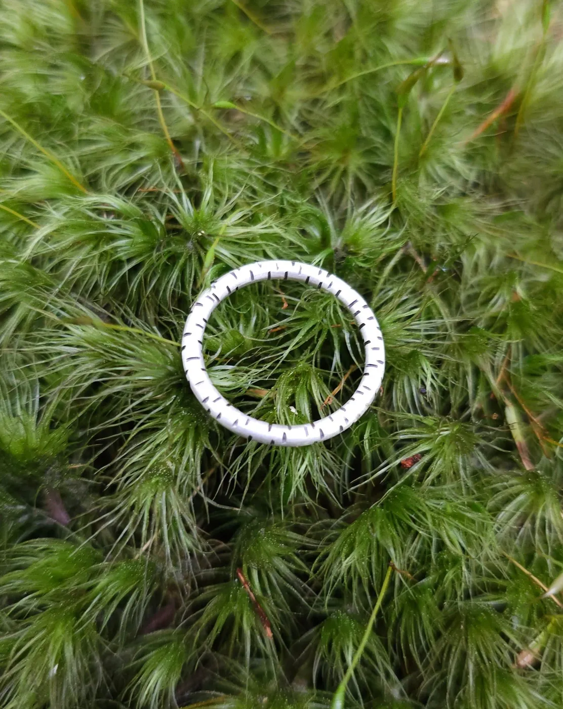 Bague Bouleau, jonc inspiré de l'écorce du bouleau. Argent sterling. Bague mixte, pour femme et homme. — bague, argent sterling de Yonomori Joaillerie